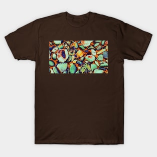 Magic pebbles on a cold beach: psychedelic edit of abstract nature photography T-Shirt